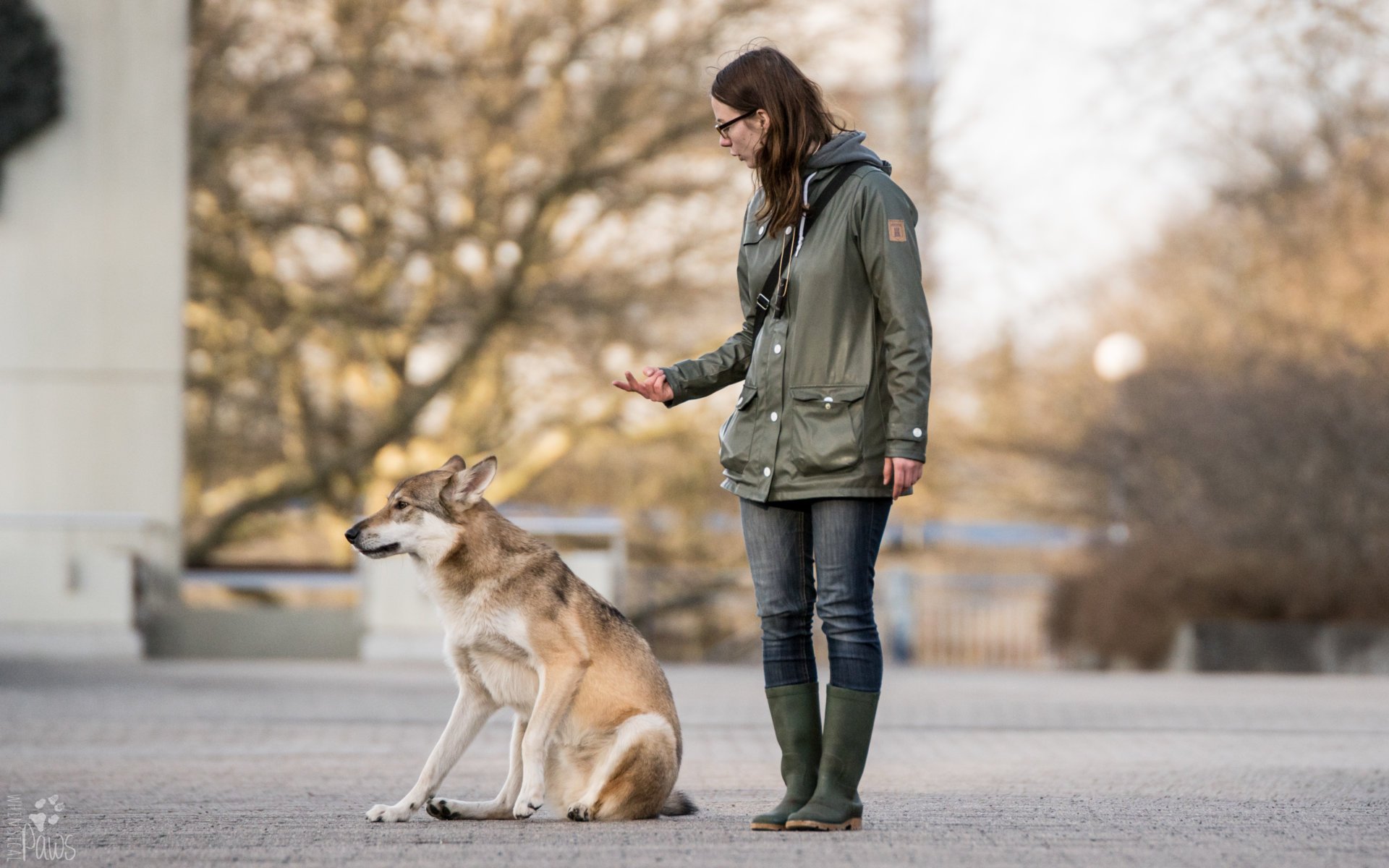 Den guten Seemann erkennt man bei schlechtem Wetter Kompass Hund