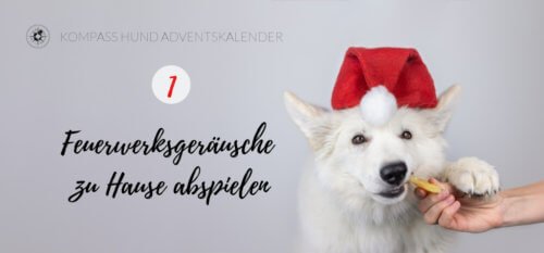 24 Tipps für die Feiertage | Kompass Hund