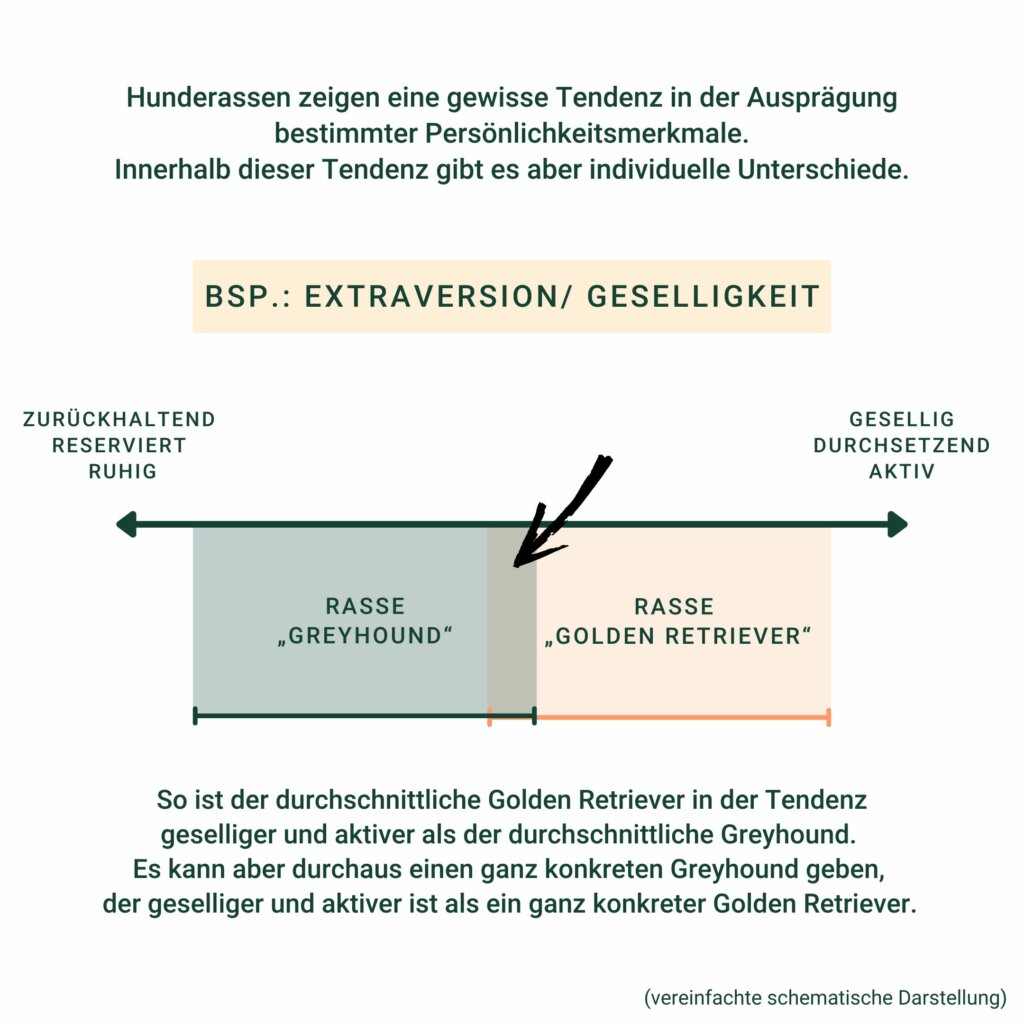 Schaubild Persönlichkeitsdimension | Kompass Hund | Hundetraining Hannover, Barsinghausen & Umgebung