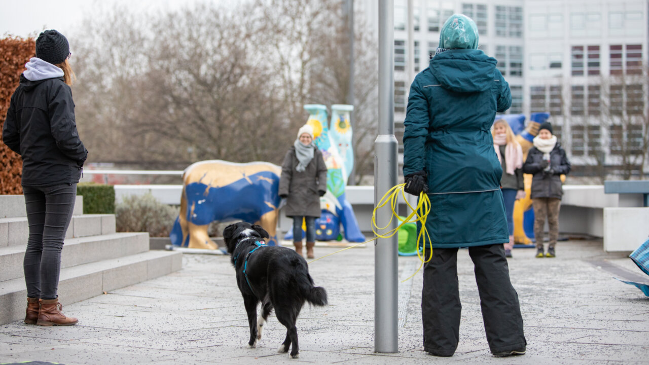 Entspannt Menschen begegnen | Kompass Hund | Hundetraining Hannover, Barsinghausen und Umgebung