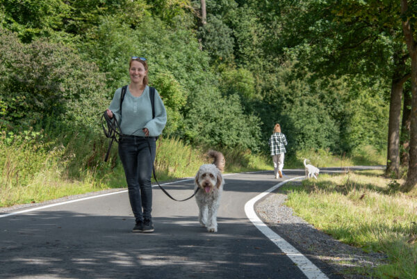 Hundebegegnungen | Kompass Hund | Deine Hundeschule Hannover, Barsinghausen und Umgebung