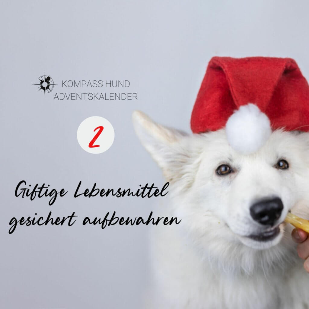 Giftige Lebensmittel für Hunde gesichert aufbewahren | Kompass Hund | Hundetraining Hannover, Barsinghausen und Umgebung