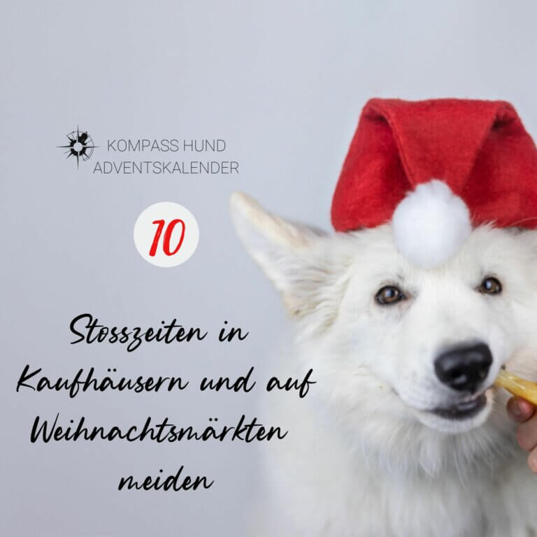 Stoßzeiten in Kaufhäusern oder auf Weihnachtsmärkten meiden | Kompass Hund | Hundetraining Hannover, Barsinghausen und Umgebung