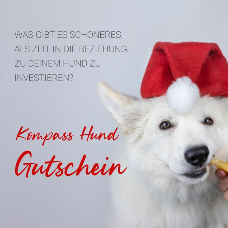 Hundeschule Gutschein | Kompass Hund | Hundetraining Hannover, Barsinghausen und Umgebung