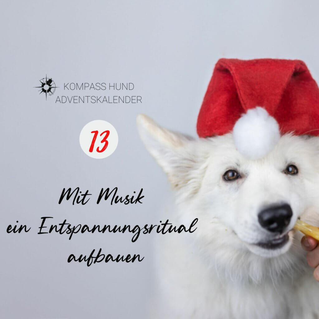 Mit Musik ein Entspannungsritual aufbauen | Kompass Hund | Hundetraining Hannover, Barsinghausen und Umgebung