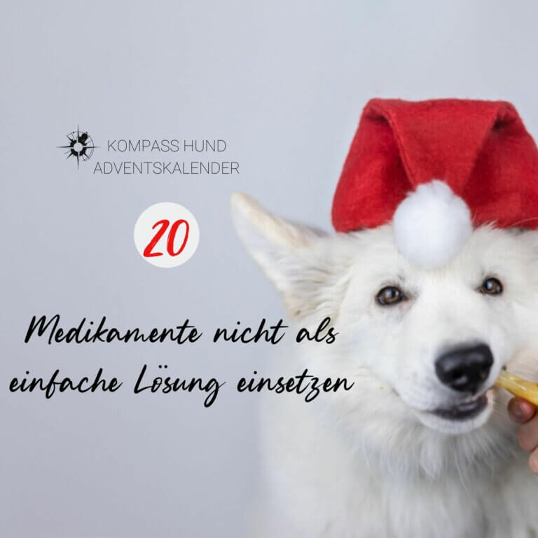 Medikamente nicht als einfache Lösung einsetzen | Kompass Hund Adventskalender | Hndetraining Hannover, Barsinghausen und Umgebung