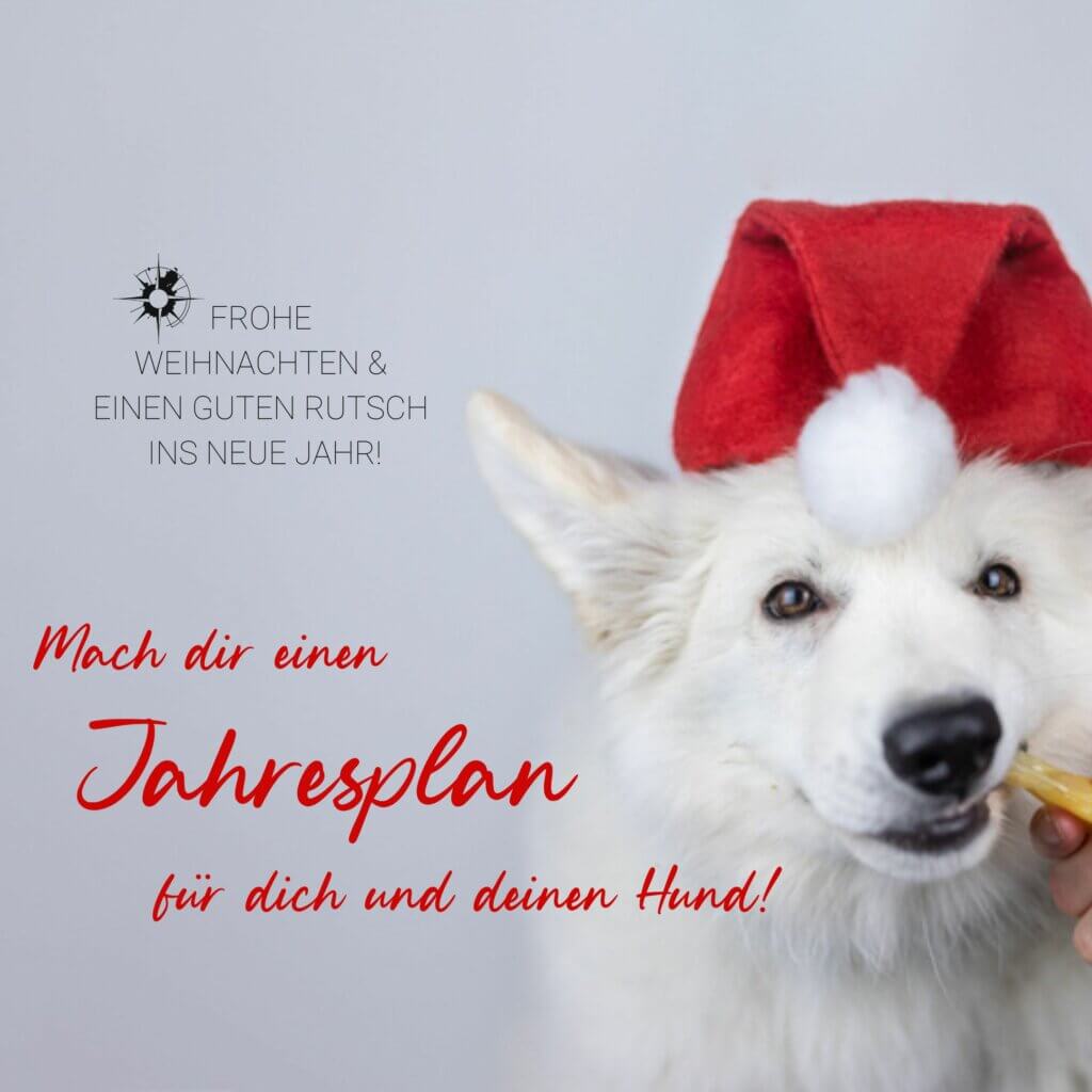 Mach dir einen Jahresplan für dich und deinen Hund | Kompass Hund Adventskalender | Hundetraining Hannover, Barsinghausen und Umgebung