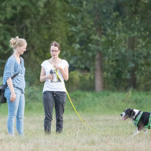 Menschen und Hund auf einer Wiese